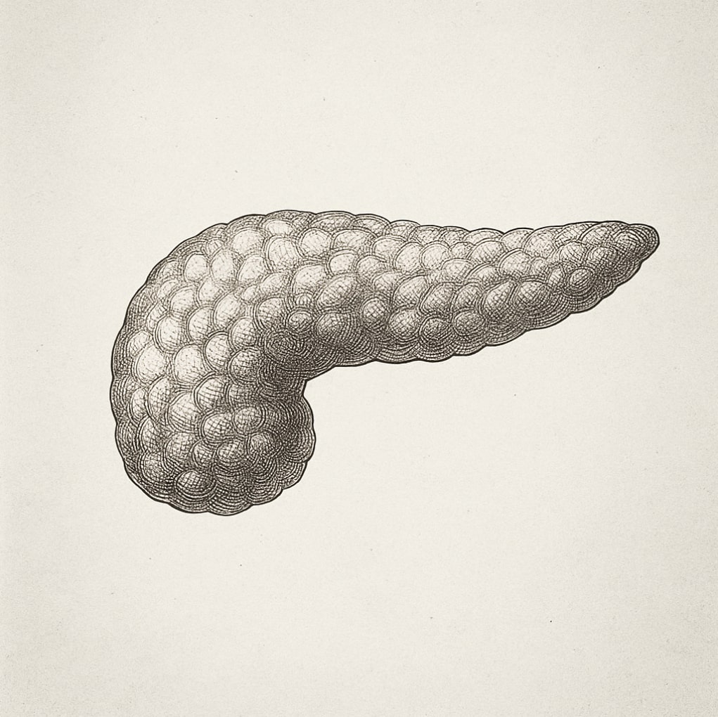 Endocrine and Metabolic